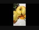 マイビデオULT350EGG0204