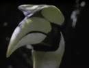 鳥の世界06『衣装と歌のメッセージ』前半