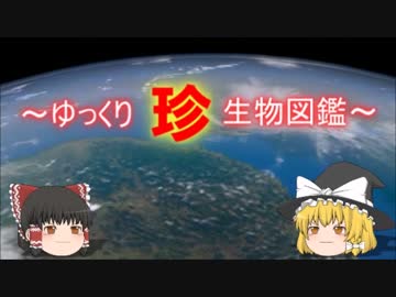～ゆっくり　珍　生物図鑑～　新・第24回