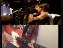 Can’t Stop-RedHotChiliPeppers Slane Castle Guitar Cover