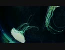 【Faeri】クラゲの歌 (short ver.)【歌ってみた】