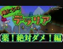 【実況】俺たちのテラリア- #12
