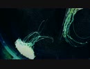 【Faeri】クラゲの歌 (short ver.)【英語版】