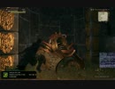 [DDON]メルゴダ　ゴリアテルートシーカー専用ちょこっとショートカット