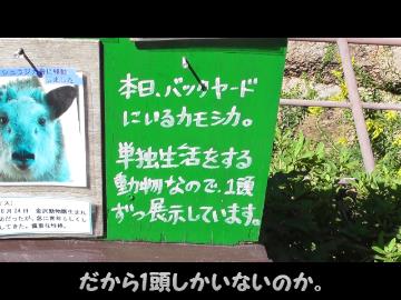 PCX150で、栗づくしを食べに葉山に行くよっ！