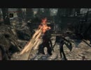 【ブラッドボーン】獣肉断ちで侵入【侵入/複数戦】