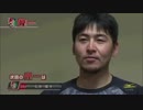 CCR4-鯉