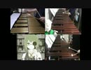 シリョクケンサを鍵盤打楽器(マリンバ・ヴィブラフォン)で演奏してみた