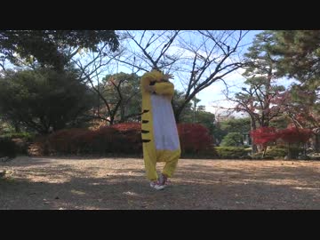 【初投稿】ハロ／ハワユ　踊ってみた【くらんべりぃ。】
