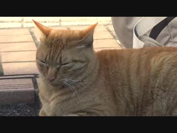 この冬、いちばん静かなフギャアアアア