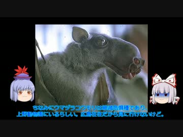 【ゆっくり解説】ＵＭＡについて語ってみる【ジャージーデビル】