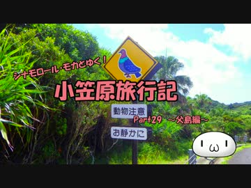 【ゆっくり】小笠原旅行記 Part29 ～父島編～ 夜明道路その2