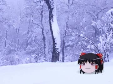 【怪談】怖い話朗読 35 【ゆっくり】