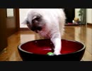 ボールをクルクルするよ