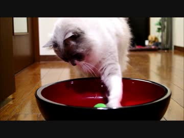ボールをクルクルするよ