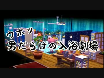 【どうぶつの森ハッピーホームデザイナー】嫁入り前にセンスUP*実況part28