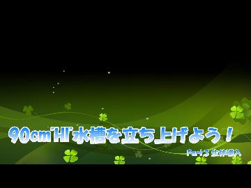 90cm"HI"水槽を立ち上げよう！　Part.3