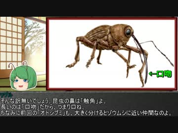 ゆっくり霊夢とやる夫が学ぶ 昆虫大百科 part27