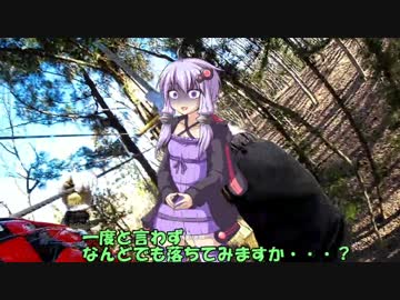 【結月ゆかり】VTR1000Fと行くのんびりツーリング 10【東北ずん子】
