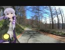 ゆかツー7