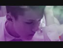 【HunLay】A·N·I·M·A·L·S