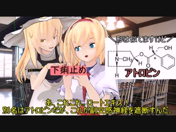 [東方MMD] おとなしい子ばっかバス酔いしてたのなんで