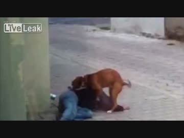 酔っ払いと可愛い雄犬♂