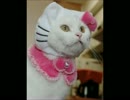 【歌ってみた】ハロー・ハロー ~superfly~【カラオケ】