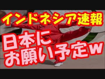 インドネシア「今になって事の重大さに気付いた。助けて下さい。」