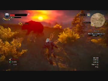 【ウィッチャー３　ワイルドハント】夕日と熊と白髪男【第１７狼】