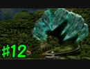【実況】フリーダムな自分がFFCCで命の水を求めて旅にでる。#12