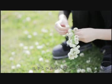 【ゆめこ】シロツメクサの花冠【歌ってみた】