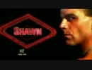 ＜WWE＞懐かしのTitantron ショーン・マイケルズ 3rd