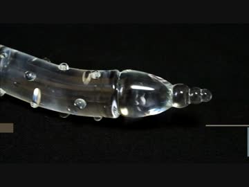 エクストリーム大人のおもちゃ