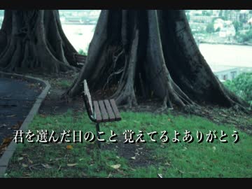 文鳥レクイエム～ペットとお別れの歌～【初投稿】