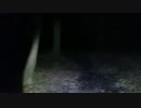 SD氏　多々良沼を行く3/4　20160201