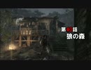 【Tomb Raider】まったりエディションPart 40【実況】
