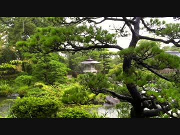 【癒し系ＢＧＭ】　雨と雫　日本庭園 再編集　【自然音】