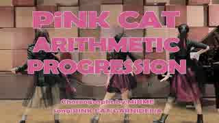 【等差数列組】PiNK CAT 【踊ってみた】