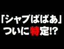 「シャブばばあ」のシャブ御殿について。- 2016.02.10