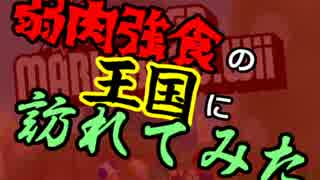 【NLTK】弱肉強食の王国に訪れてみた 十二泊目【NewスーパーマリオWii】