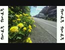 ゆるりおへんろ 歩き旅 9日目（前編）