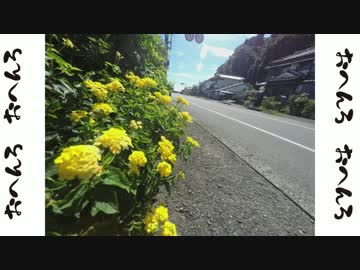 ゆるりおへんろ 歩き旅 9日目（前編）