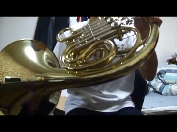 【開封動画】注文したホルンが届いたので開封してみた【オマケ有り】