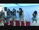 フルーティー/プレデター (2016/2/11 さっぽろオタマップ(仮)ライブ）