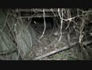 《ゲスト撮影》　銃殺の家