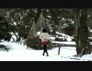 【りんご缶】ラブポーション　踊ってみた【まっしろ！！】
