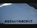 雪なのでハイボール作ってみた