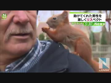 助けてくれた男性を激しく“リス”ペクト