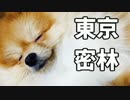 東京で弱肉強食トーキョージャングル実況プレイ【3】